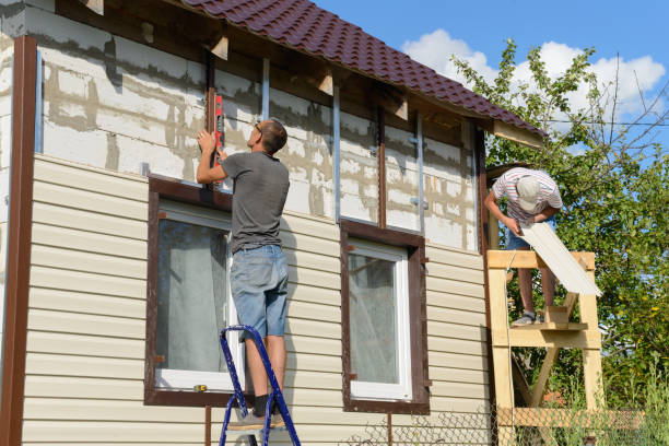 Best Brick Veneer Siding  in Robinhood, MS