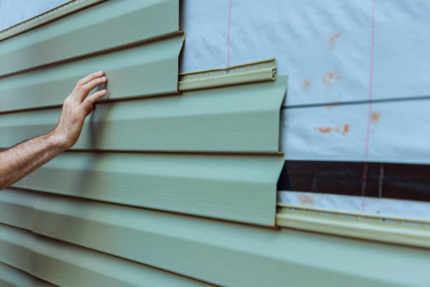 Best Vinyl Siding Installation  in Robinhood, MS